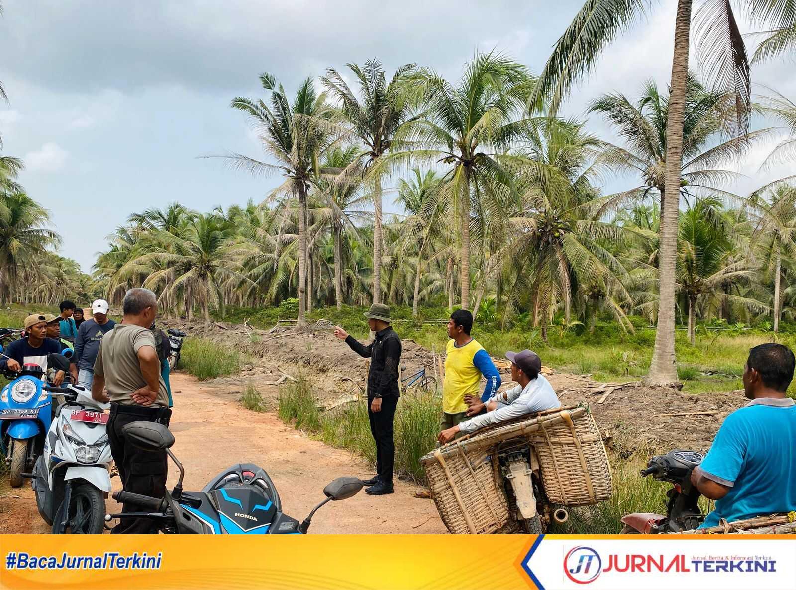 Belasan hektare lahan kebun kelapa milik warga di Kelurahan Alai Kecamatan Ungar, Kabupaten Karimun, Kepulauan Riau diserang hama. Sejumlah warga berkumpul di area kebun kelapa yang terserang hama, Senin (2/10/2023). (JurnalTerkini.id/Yogi)