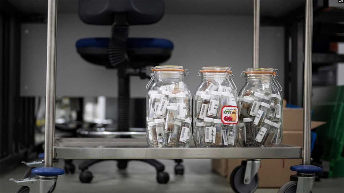 bahtera nuh spesies tanaman Benih-benih yang telah diekstraksi, disimpan dalam toples di Kew Millennium Seed Bank di Wakehurst, selatan London, 25 April 2023. (Ben Stansall / AFP)