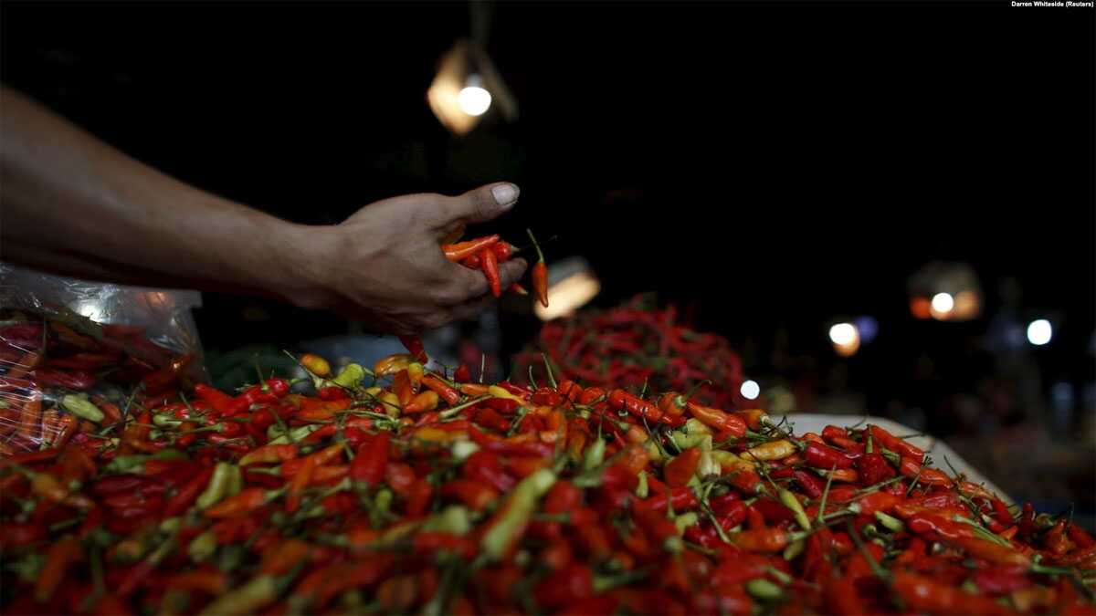 Seorang penjual cabai sedang memilah hasil panennya di kiosnya di pasar tradisional Jakarta, 4 Juni 2015. Komoditas cabai adalah salah satu penyumbang utama inflasi pada Desember 2023. (Foto: REUTERS/Darren Whiteside)