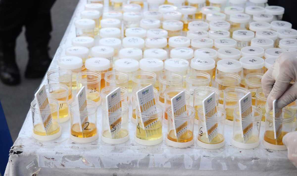 tes urine personel Polres Karimun Sampel urine personel Polres Karimun yang dites Divpropam Mabes Polri di Mapolres Karimun, Rabu (28/2/2024). (Foto: Humas Polres Karimun/Helman)