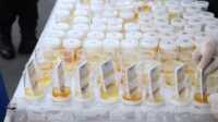 tes urine personel Polres Karimun Sampel urine personel Polres Karimun yang dites Divpropam Mabes Polri di Mapolres Karimun, Rabu (28/2/2024). (Foto: Humas Polres Karimun/Helman)