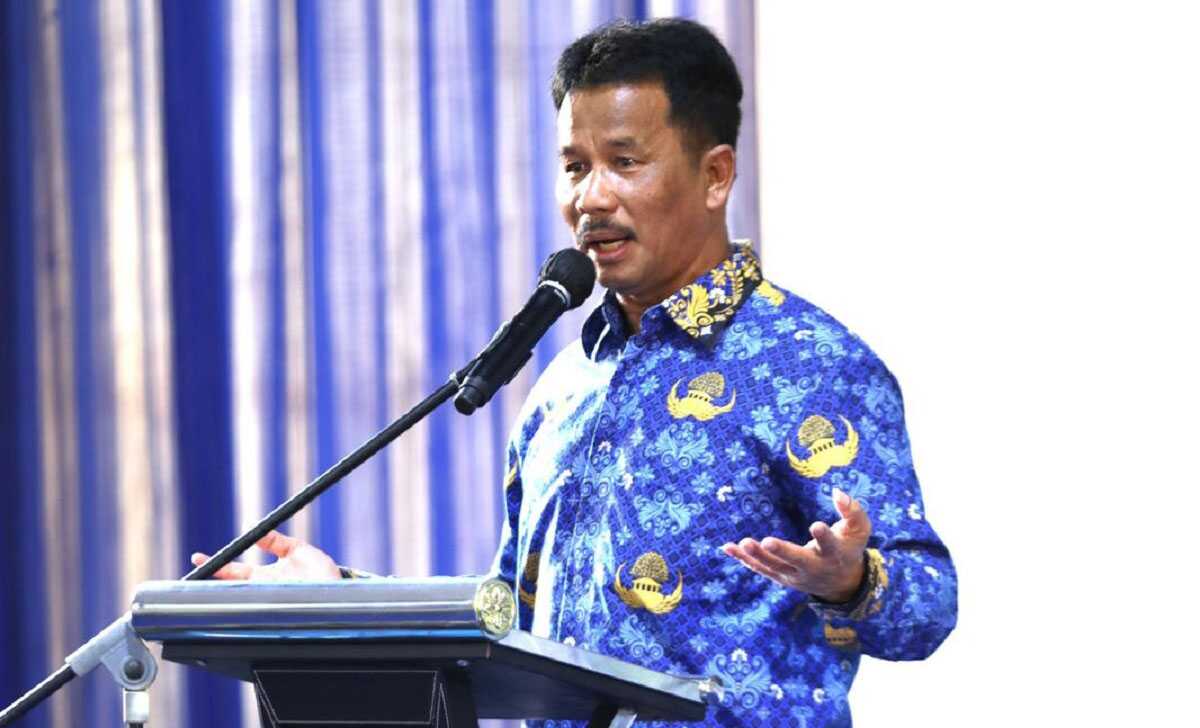 Kepala BP Batam Muhammad Rudi-2 Kepala BP Batam Muhammad Rudi (foto: Humas BP Batam)