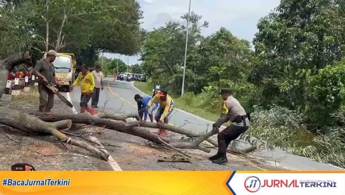 pohon tumbang bhabinkamtibmas