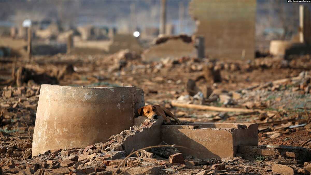 Seekor anjing beristirahat di reruntuhan rumah yang sebelumnya terendam di Waduk Jatigede tetapi kini mengering saat musim kemarau di Sumedang, Jawa Barat, 15 September 2018. (Foto: REUTERS/Willy Kurniawan)