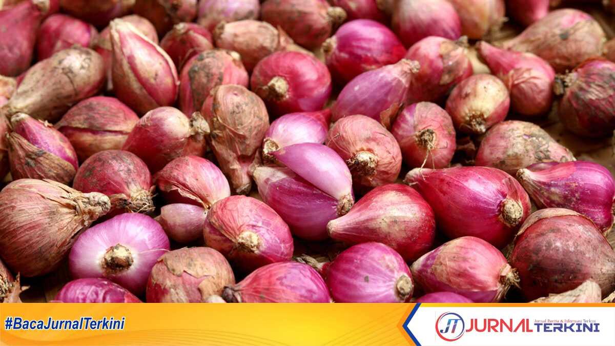 bawang merah