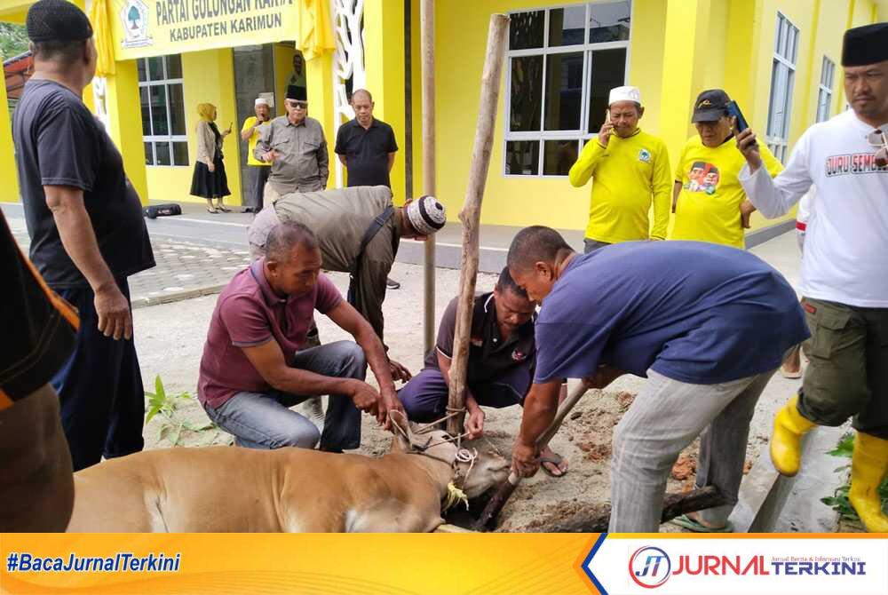 Penyembelihan sapi kurban di Hari Raya Idul Adha di Kantor DPD Partai Golkar Karimun, Rabu (19/6/2024). (jurnalterkini.id/yogi)