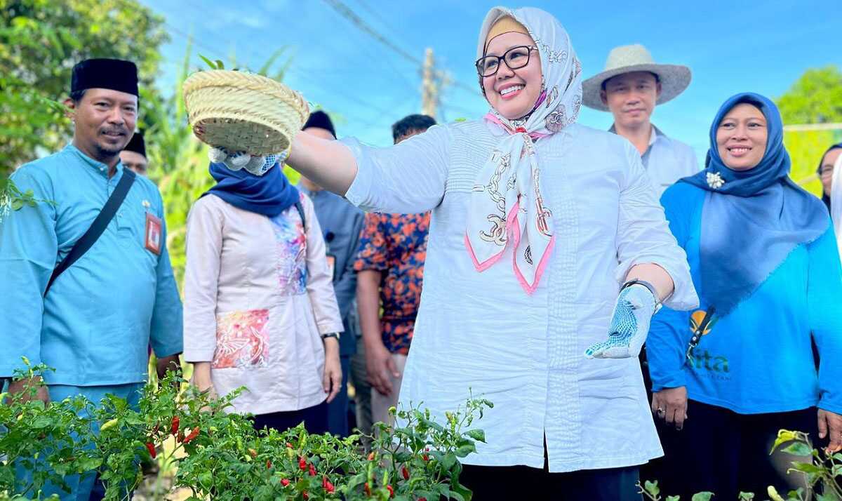 Wagub Kepri Hj Marlin Agustina panen cabai di Kota Batam, Sabtu 29/6/2024) (foto: dokumentasi pribadi)