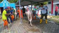 penyembelihan hewan kurban rutan karimun Penyembelihan hewan kurban Idul Adha di Rutan Kelas IIB Tanjung Balai Karimun, Senin (17/6/2024). (foto: dokumentasi pribadi)