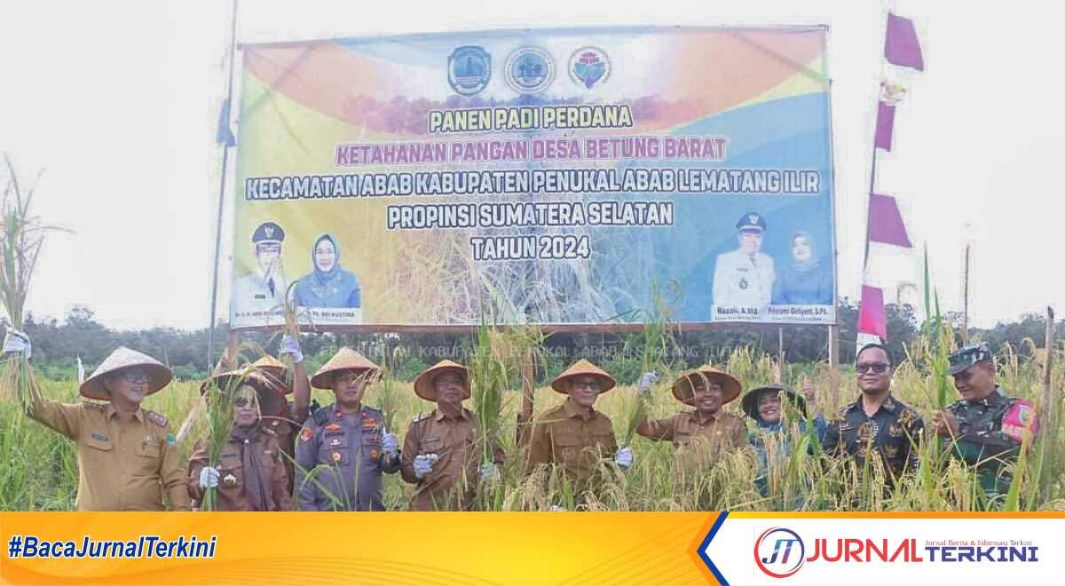 Bupati PALI Heri Amalindo panen perdana padi di Desa Betung Barat, Kecamatan Abab, Kabupaten Penukal Abab Lematang Ilir (PALI), Senin (25/03/2024). (JurnalTerkini.id/alam budi kesuma)
