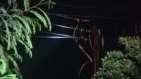 kabel pln karimun nyaris putus Kabel jumperan pada portal penyulang kapuas SKTM di portal PLTD hampir putus, PLN memutus aliran listrik sejumlah lokasi untuk perbaikan, Senin (8/7/2024) pagi. (foto: PLN Karimun)