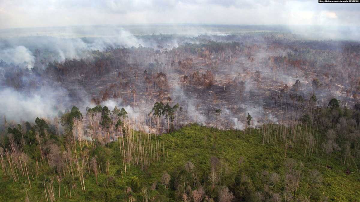 Foto udara kebakaran hutan yang terjadi di dekat desa Bokor, Kabupaten Kepulauan Meranti, Provinsi Riau (foto: ilustrasi).