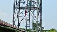 manjat tower di tembilahan Diduga sedang depresi, seorang wanita bernama Baeri Yusnita (48) memanjat tower Telkomsel di Jalan Paruna Kelurahan Tembilahan Barat, Kecamatan Tembilahan Hulu, Kabupaten Indragiri Hilir (Inhil), Provinsi Riau, Kamis (4/7/2024). (jurnalterkini.id/abdullah)