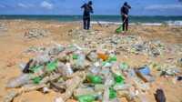 jamur pemakan plastik Polisi Perlindungan Lingkungan Hidup membersihkan pantai dari sampah-sampah dalam rangka peringatan Hari LIngkungan Internasional, di pinggiran Kota Kolombo, Sri Lanka, 5 Juni 2020. (Foto: Lakruwan/Manniarachchi/AFP)
