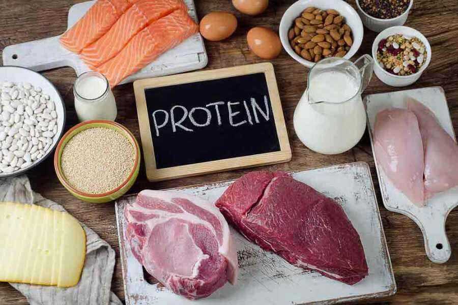 protein hewani bagi ibu menyusui