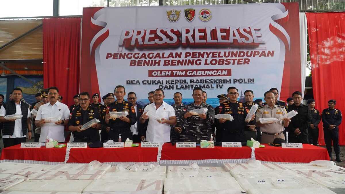Kepala Kantor Wilayah (Kakanwil) DJBC Khusus Kepulauan Riau, Adhang Noegroho Adhi dan jajaran bersama sejumlah pejabat terkait menunjukkan benih bening lobster hasil penindakan upaya penyelundupan di Kanwil DJBC Khusus Kepri, Kamis (17/10/2024). (JurnalTerkini.id/edy kencana)