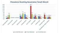 prevalensi stunting tanah merah