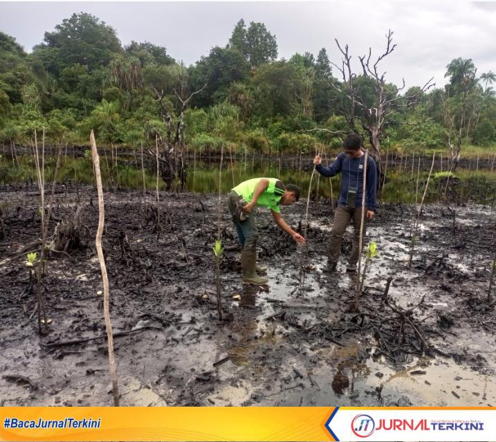 Screenshot_20241122-182820