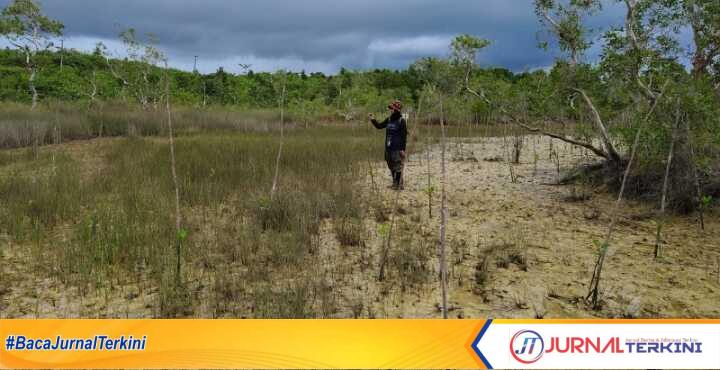 Screenshot_20241125-221003