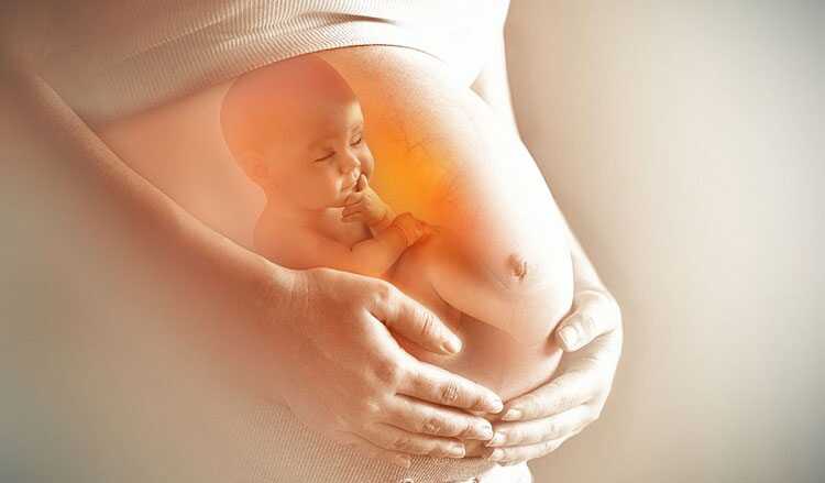 tanda kehamilan normal