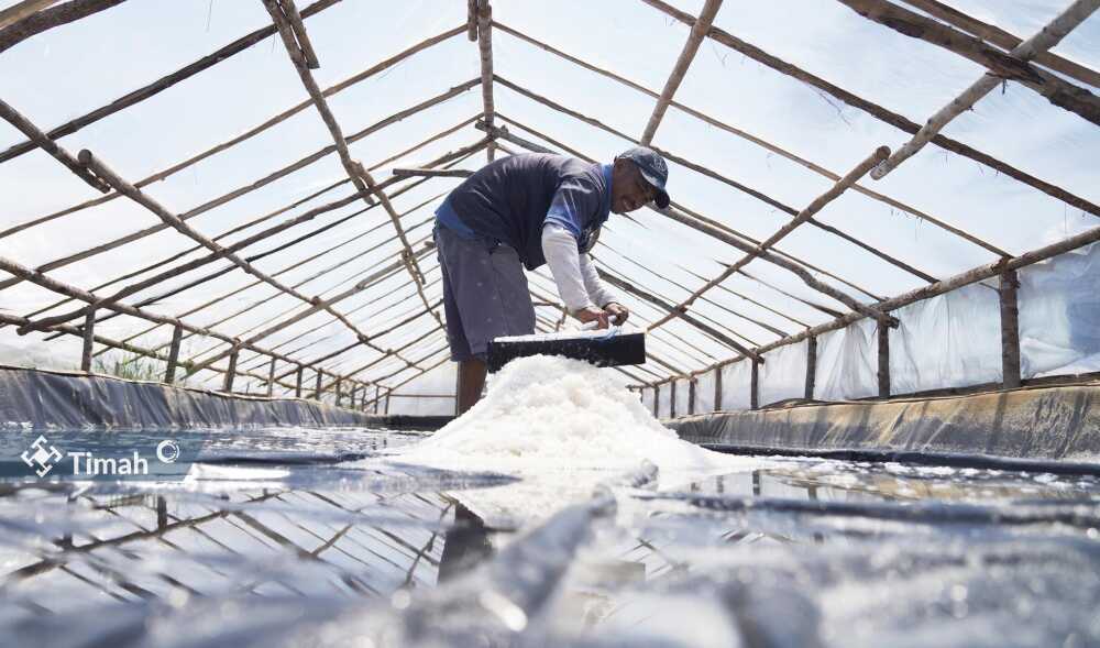 kups garam mundong Lestari didukung pt timah KUPS Garam Mudong Lestari bangkit berkat dukungan PT Timah Tbk. (Timah)