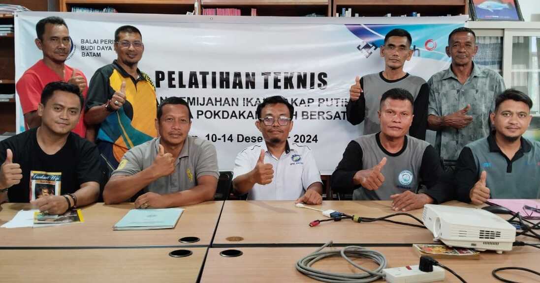 pelatihan perikanan pt timah PT Timah Tbk berkolaborasi dengan Balai Perikanan Budidaya Laut (BPBL) Batam, menggelar pelatihan ‘Pemeliharaan dan Pemijahan Ikan Kakap Putih’ untuk Pokdakan Tuah Bersatu di BPBL Batam. 10-14 Desember 2024. (timah)