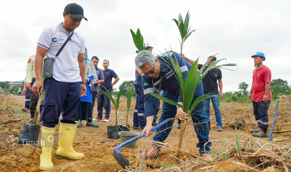 PT Timah mendukung ketahanan pangan dengan membangun kawasan Tanjung Ular Farm Estate di Mentok, Kabupaten Bangka Barat, Kepulauan Bangka Barat, Jumat (13/12/2024). (timah)