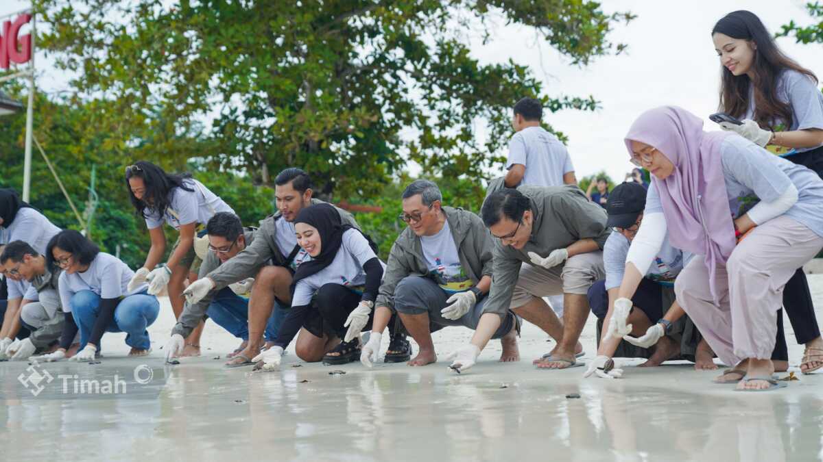 pt timah lepasliarkan tukik penyu di Belitung 1 PT Timah Tbk bersama Grup MIND ID dan Balai Konservasi Sumber Daya Alam (BKSDA) Sumatera Selatan melepasliarkan 74 tukik penyu sisik di Pantai Tanjung Kelayang, Kabupaten Belitung, Kepulauan Bangka Belitung, Jumat (6/12/2024). (Timah)