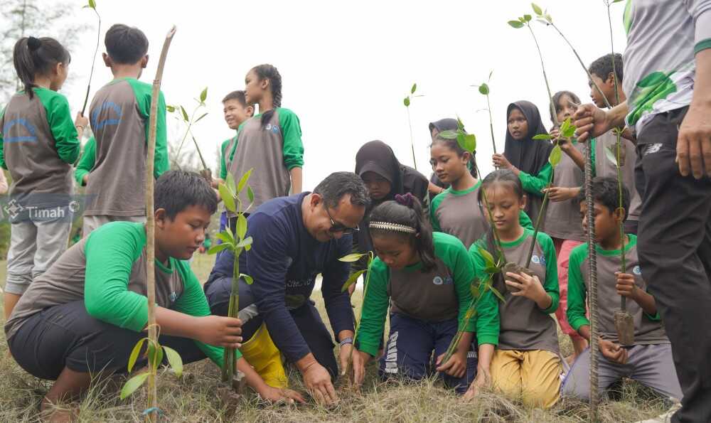 Penanaman bibit mangrove oleh PT Timah Tbk di Pantai Takari, Kabupaten Bangka Tengah, Kepulauan Bangka Belitung, Kamis (12/12/2024). (timah)
