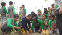 pt timah tanam mangrove bersama siswa di bangka tengah Penanaman bibit mangrove oleh PT Timah Tbk di Pantai Takari, Kabupaten Bangka Tengah, Kepulauan Bangka Belitung, Kamis (12/12/2024). (timah)
