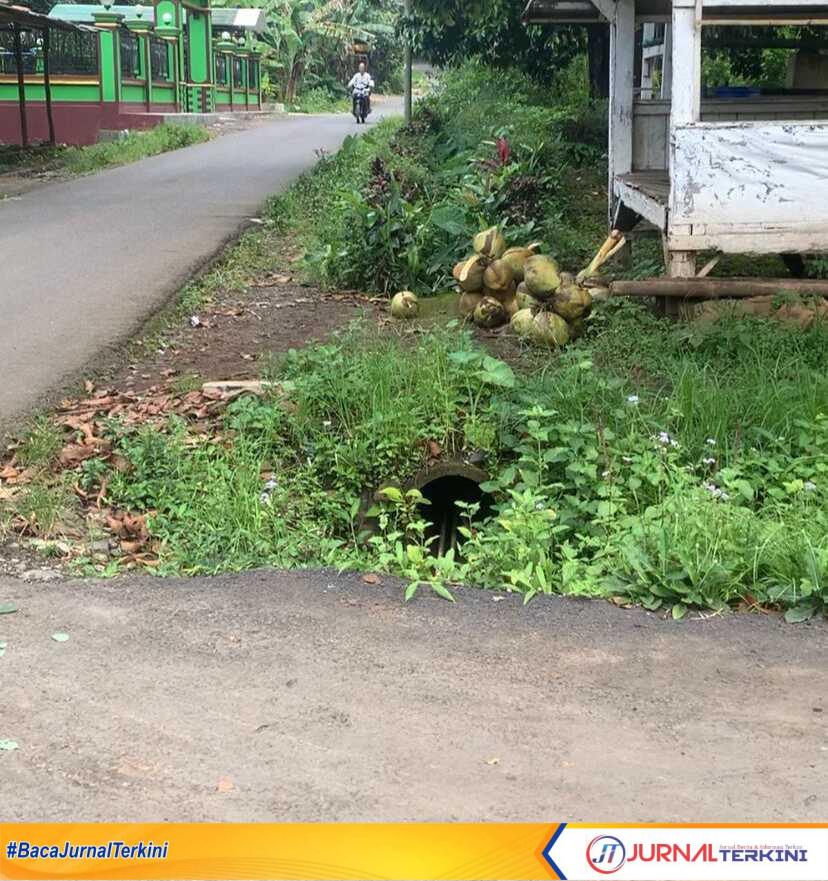 IMG_20250102_200926 Potret aspal jalan di Desa Kaliglagah Kecamatan Sumberbaru kabupaten Jember yang diprotes warga setempat (dok. jatimaktual)