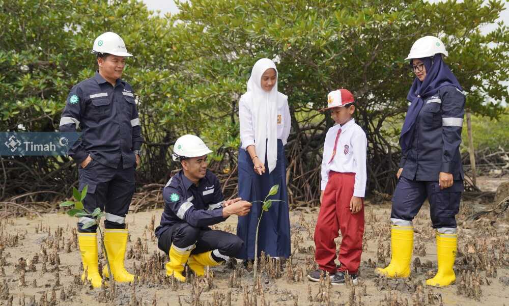 PT Timah menanam bibit mangrove bersama para siswa beberapa waktu lalu (Timah)