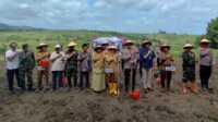 polres Demak tanam jagung satu juta hektare Polres Demak bersama instansi terkait menanam jagung di Desa Wonosekar, Kecamatan Karangawen, Kabupaten Demak, Selasa (21/01/2025). (JurnalTerkini.id/Ponco Harsabdo)