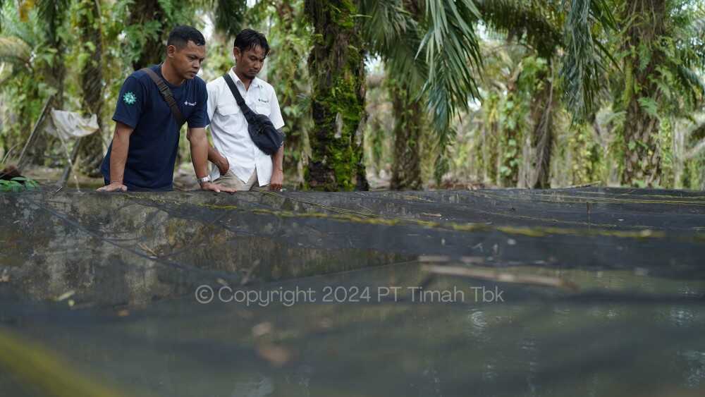 PT Timah memberikan dukungan dan bantuan usaha kepada Kelompok Usaha Sumber Rezeki Pembudidayaan Ikan Lele, Desa Kapit, Kecamatan Parit Tiga, Kabupaten Bangka Barat, Kamis (16/1/2025). (Timah)