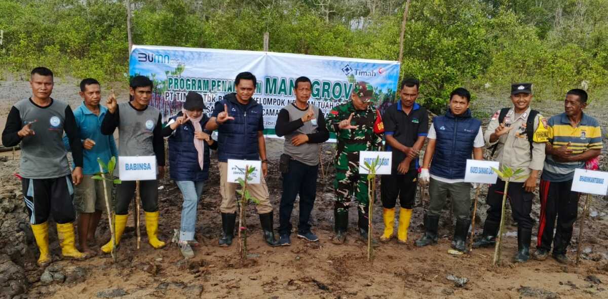 PT Timah kembali menanam 3.000 batang mangrove di pantai Desa Sawang Laut, Kecamatan Kundur Barat, Kabupaten Karimun, Kepulauan Riau, Sabtu (15/2/2025). (Timah)