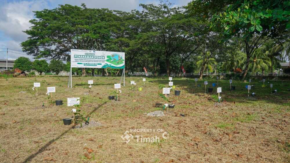 PT Timah Tbk berkolaborasi bersama Pemerintah Kabupaten Bangka, Masyarakat Energi Terbarukan Indonesia (METI) dan juga PLN Bangka Belitung melaksanakan penanaman 1.500 pohon angsana di Taman Energi Balai Karya PT Timah Tbk di Sungailiat, Jumat (28/2/2025). (Timah)