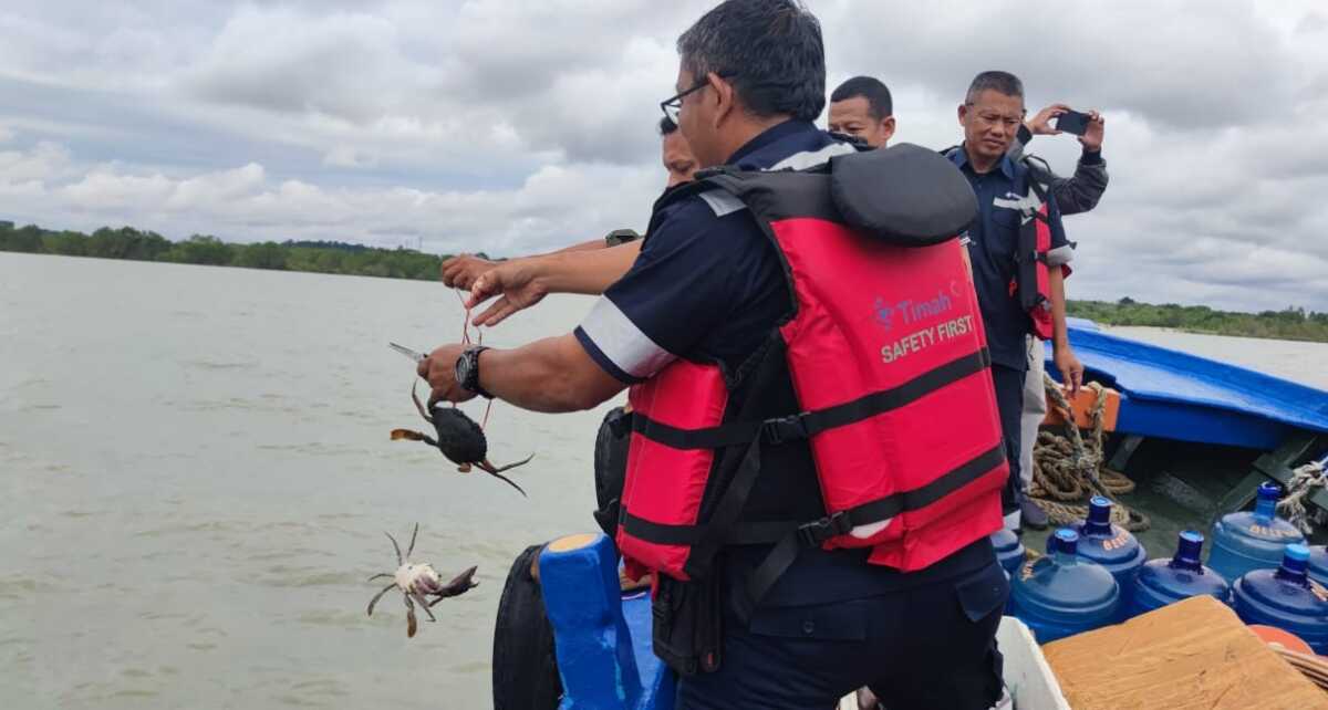 PT Timah Area Kundur melepaskan 300 ekor bibit kepiting bakau di perairan Kundur, Kabupaten Karimun, Kamis (6/3/2025) lalu. (Timah)