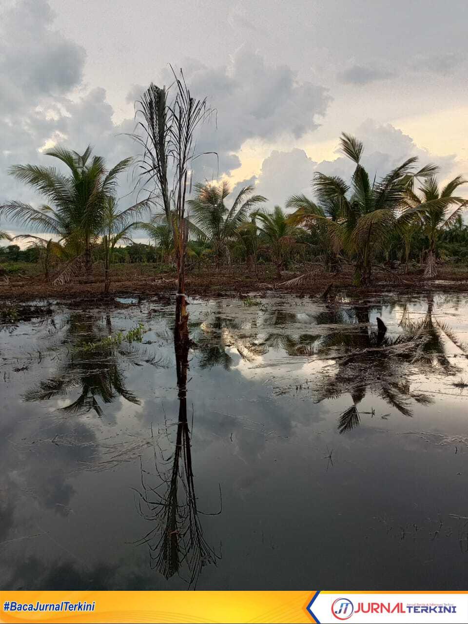 IMG-20250415-WA0029 Kondisi perkebunan masyarakat yang terendam Banjir di Simpang Kanan Dusun Sentosa Desa Simpang Gaung mengalami kerusakan