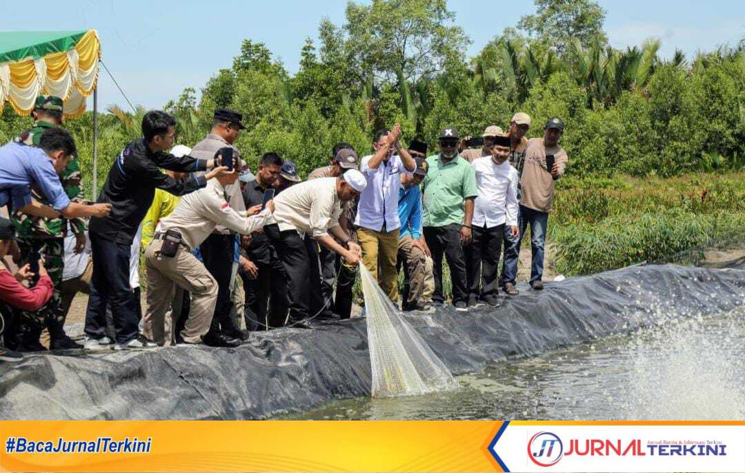Ket foto: Bupati Inhil, Haji Herman, saat melempar jala di tambak udang di Kecamatan Tanah Merah, Sabtu (24/5/2025).