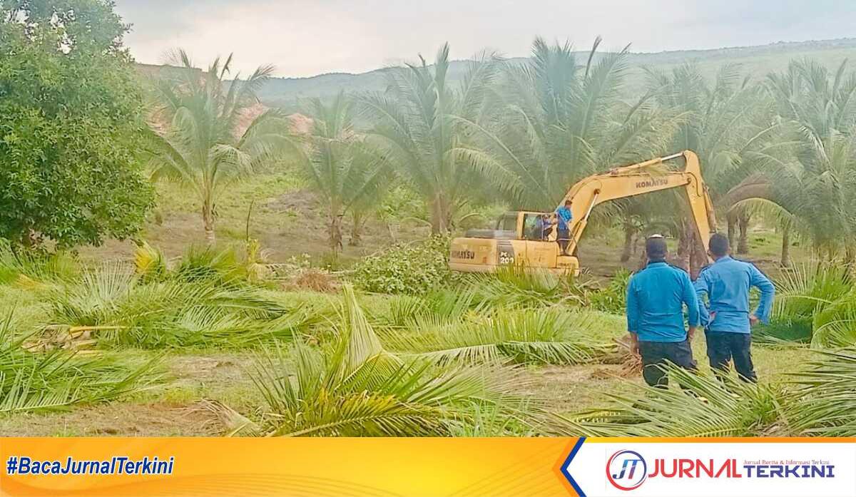 Penertiban lahan warga di Tanjung Banon oleh BP Batam, Jumat (2/5/2025). (Foto: humasbpbatam)