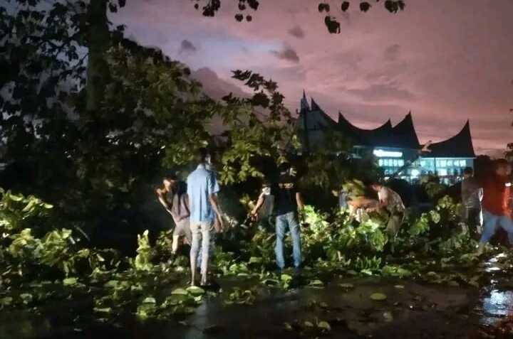 Dharmasraya Pemerintah Kabupaten Dharmasraya bergerak cepat merespons dampak angin kencang yang melanda wilayah Pulau Punjung pada Minggu (18/5/2025). (Dokumentasi pribadi)