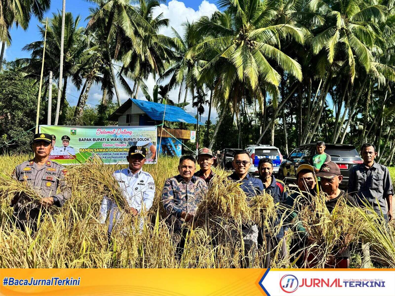 Pemkab Solok hadirkan inovasi di sektor pertanian dengan menggulirkan program Basawah Pokok Murah. (Foto DiskominfokabSolok).