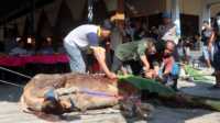 IMG-20250607-WA0013