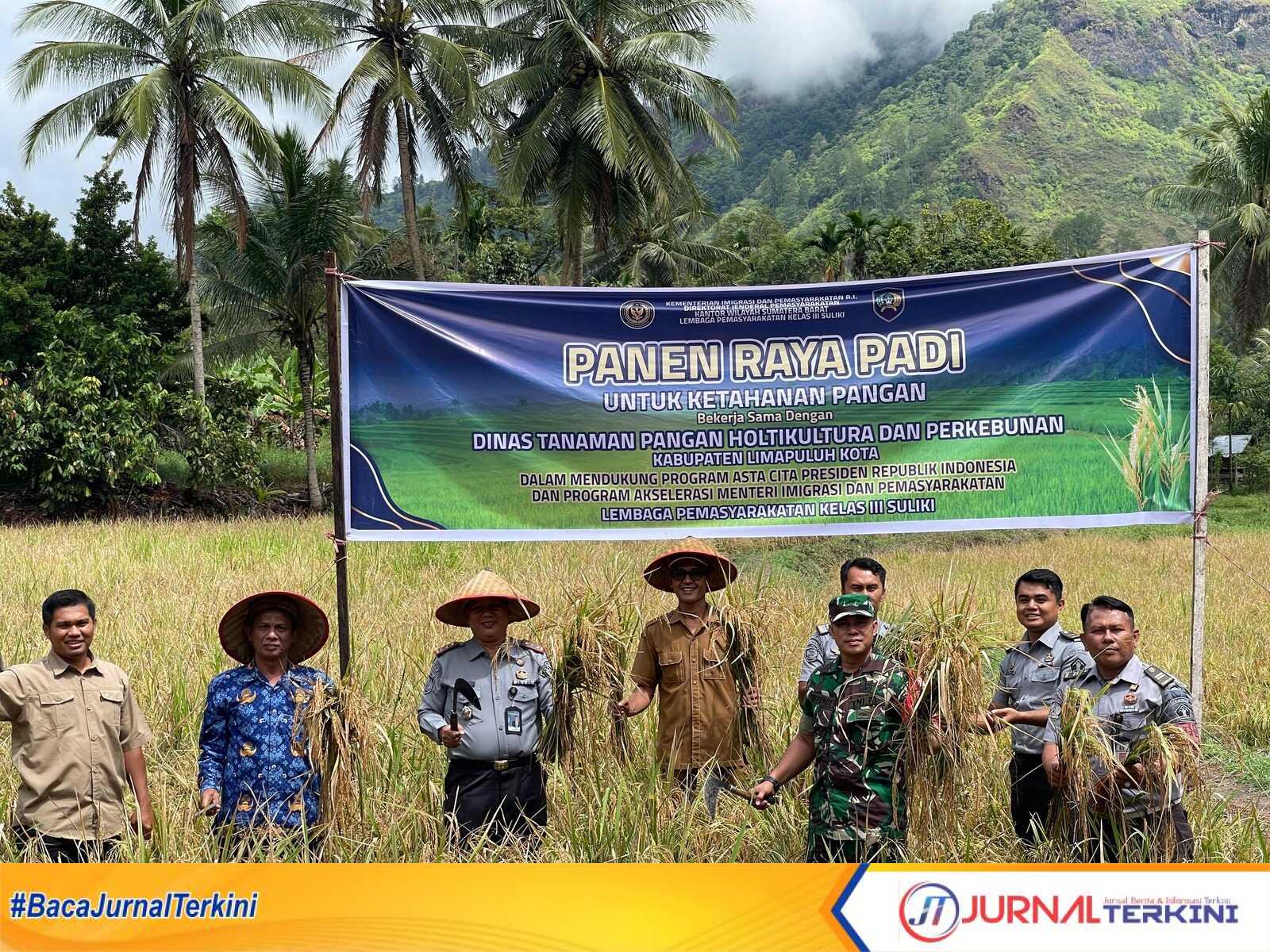 Lapas Kelas III Suliki Gelar Panen Raya Padi di Area Sarana Asimilasi dan Edukasi pada Selasa (16/06/2025). (dokumentasi pribadi)