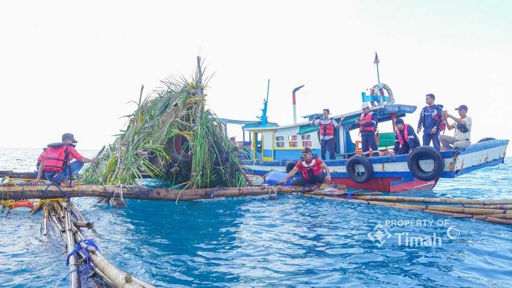 artificial reef pt timah PT Timah menenggelamkan artificial reef sebagai bagian dalam menjaga ekosistem laut dan pesisir. (timah)