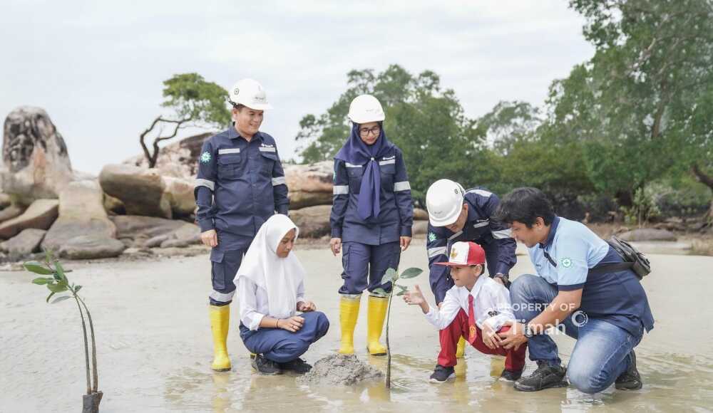pt timah hari lingkungan hidup PT Timah menanam pohon mangrove sebagai bagian dari komitmen melestarikan lingkungan hidup yang berkelanjutan (Timah)