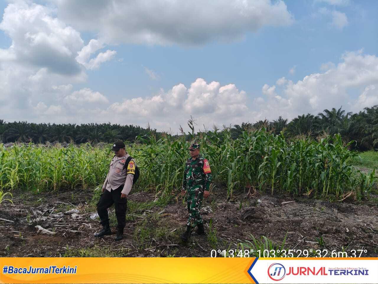 Ket Foto: Babinsa Koramil 10/Pelangiran (Plg) bersama anggota Polsek Pelangiran melaksanakan kegiatan patroli karhutla, Rabu (30/7/2025)