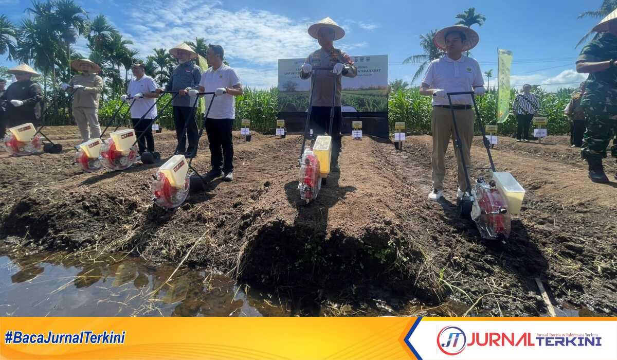 Program penanaman jagung “Ba Jaguang: Dari Ranah Minang untuk Ketahanan Pangan Indonesia”, Kamis (24/07/2025). (Foto Adpim Sumbar).