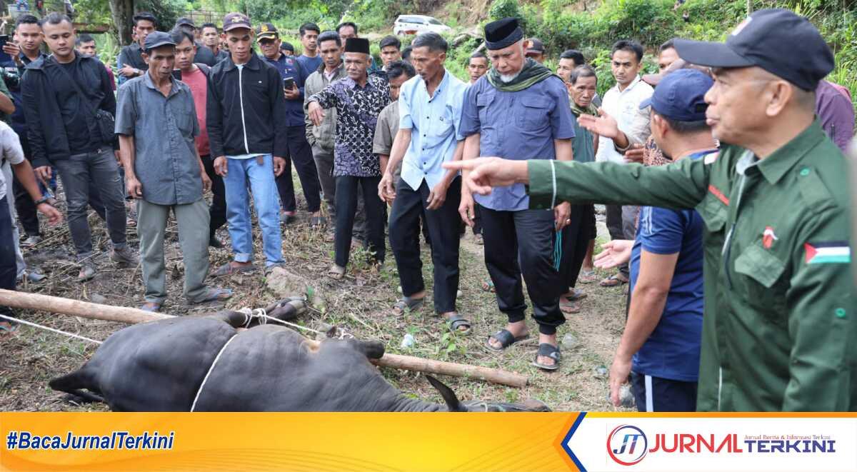 Gubernur Sumbar, Mahyeldi menyerahkan sapi kurban di Kab Solok. (Foto Adpim Sumbar).