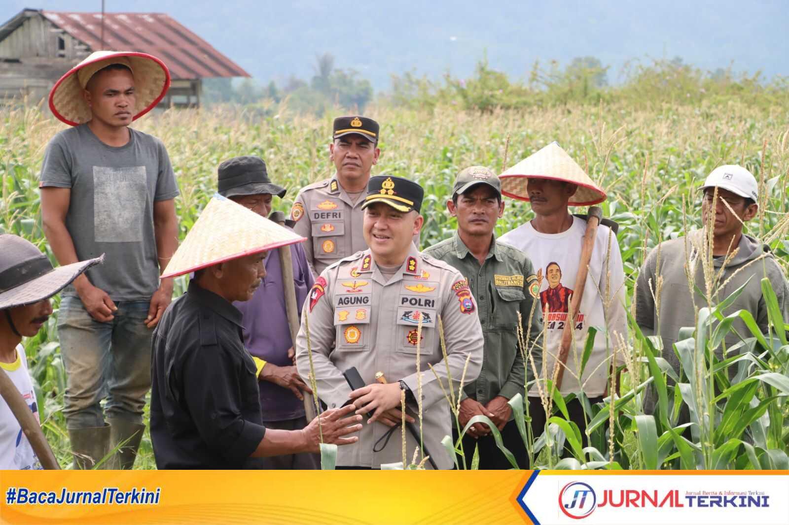 Kapolres Solok AKBP Agung Pranajaya, S.I.K., bersama tim saat memantau lahan ketahanan pangan di Kab Solok. (Foto Jurnalterkini.id/Diona).