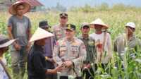 Kapolres Solok AKBP Agung Pranajaya, S.I.K., bersama tim saat memantau lahan ketahanan pangan di Kab Solok. (Foto Jurnalterkini.id/Diona).